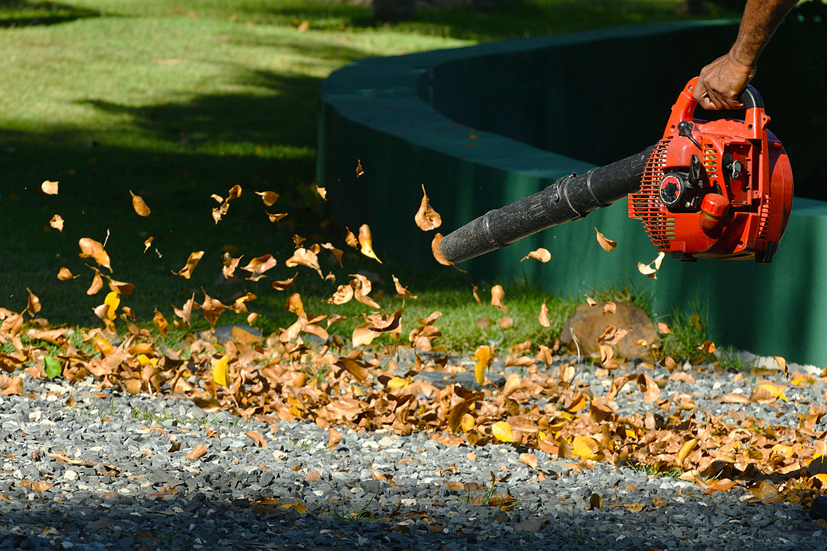8 Massachusetts Towns Enforce Leaf Blower Bans to Reduce Noise & Health Risks